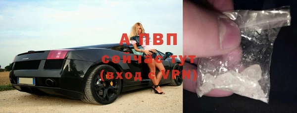 ECSTASY Вяземский