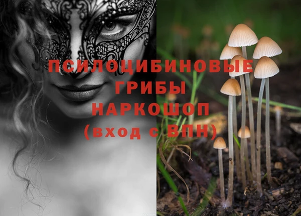 ECSTASY Вяземский