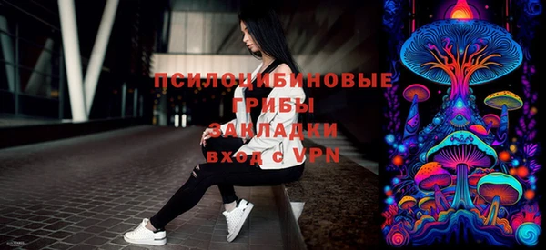 ECSTASY Вяземский