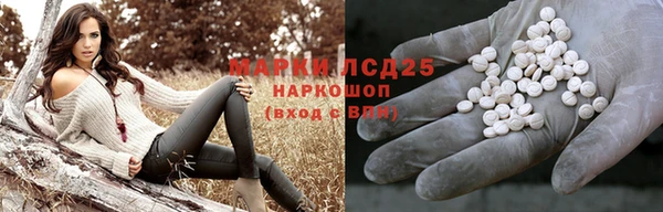 ECSTASY Вяземский