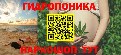 стаф Кандалакша