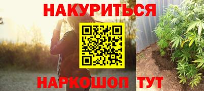 стаф Кандалакша