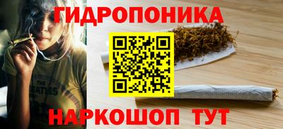 стаф Кандалакша