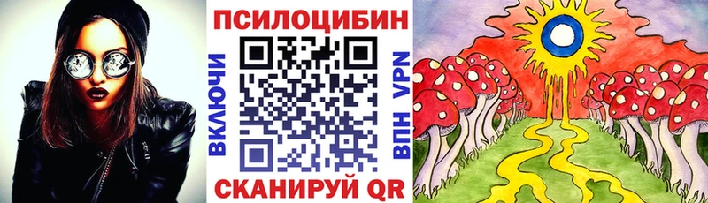 цены   Мценск  Псилоцибиновые грибы MAGIC MUSHROOMS 